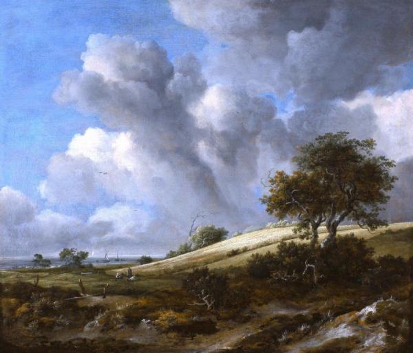 Jacob Van Ruisdael A Cornfield With The Zuiderzee In The Background