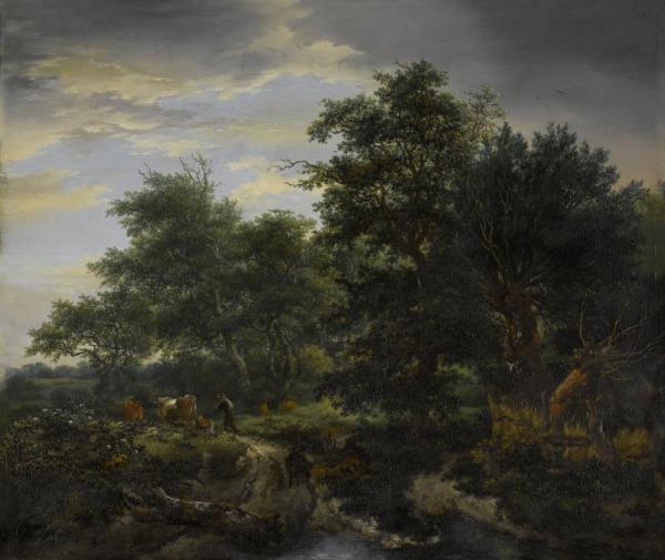 Jacob Van Ruisdael Bosgezicht