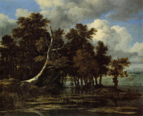 Oaks At A Lake With Water Lilies by Jacob Van Ruisdael