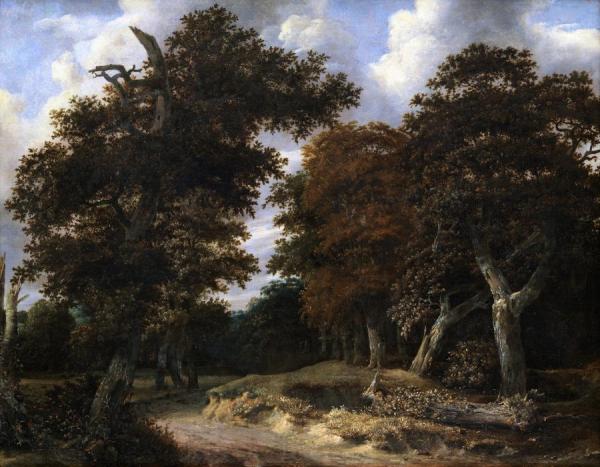 Road Through An Oak Forest by Jacob Van Ruisdael
