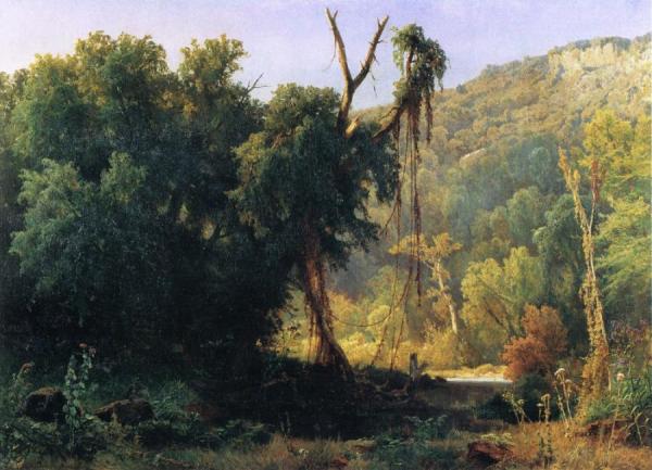 A West Virginia Forest by Jacobus Van Starkenborgh