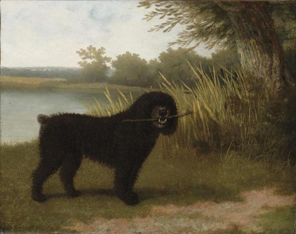 A Black Water Dog With A Stick By A Lake by Jacques-laurent Agasse