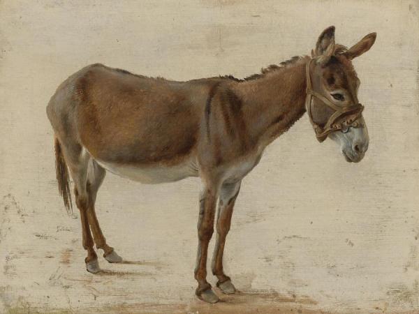 A Donkey by Jacques-laurent Agasse
