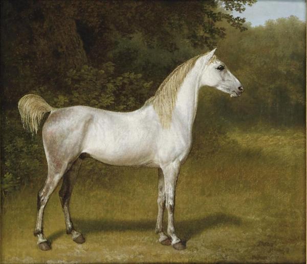 An Arab Stallion In A Landscape by Jacques-laurent Agasse