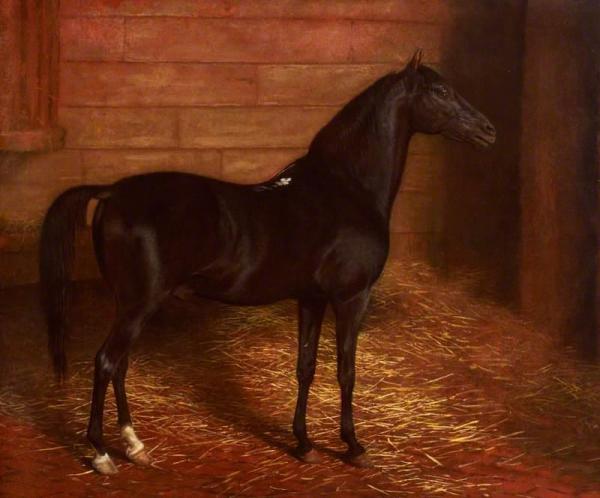 Arab Horse, The Second Sire by Jacques-laurent Agasse