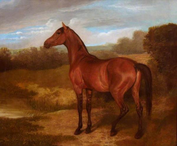Colt Of Mare And Arab Horse by Jacques-laurent Agasse