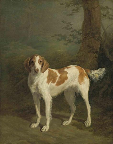 Jacques-laurent Agasse Dash, A Setter In A Wooded Landscape