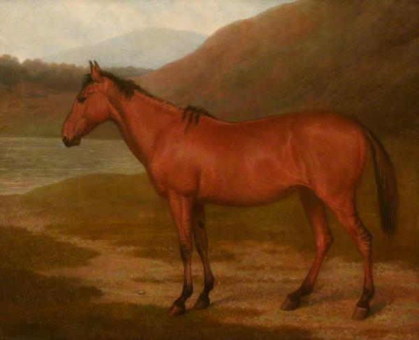 Foal Of Mare And Quagga by Jacques-laurent Agasse