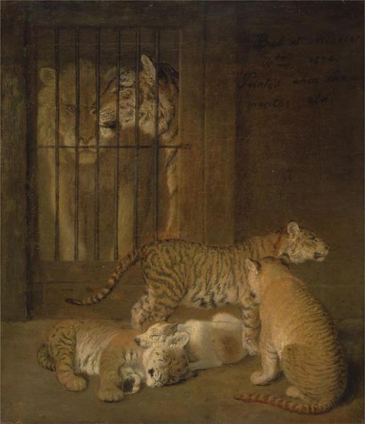 Group Of Whelps Bred Between A Lion And A Tigress by Jacques-laurent Agasse
