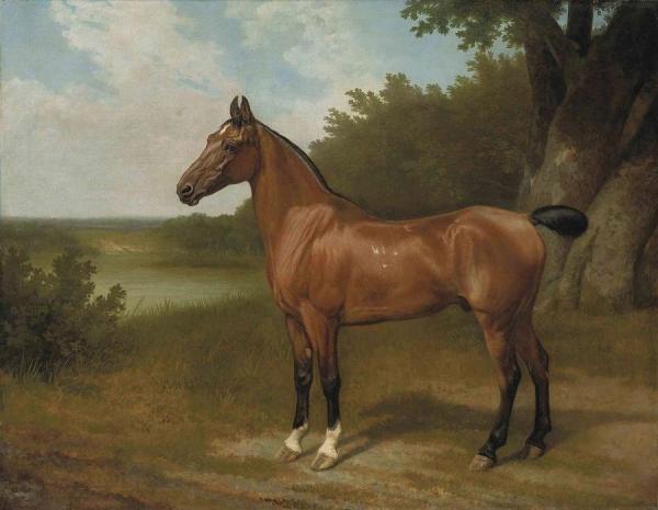 Hunter Of Lord Bingley In A Wooded River Landscape by Jacques-laurent Agasse