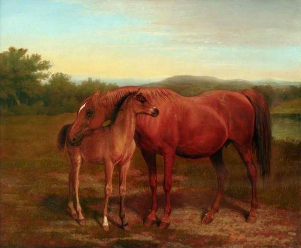 Mare, Chestnut, With Foal by Jacques-laurent Agasse