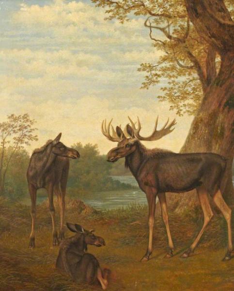 Jacques-laurent Agasse Moose
