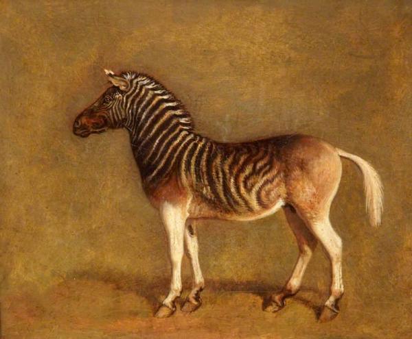 Quagga by Jacques-laurent Agasse