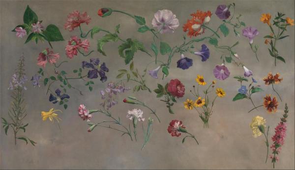 Studies Of Flowers by Jacques-laurent Agasse