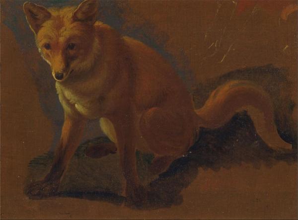 Study Of A Fox by Jacques-laurent Agasse