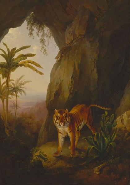 Tiger In A Cave by Jacques-laurent Agasse Oil Painting Reproductions