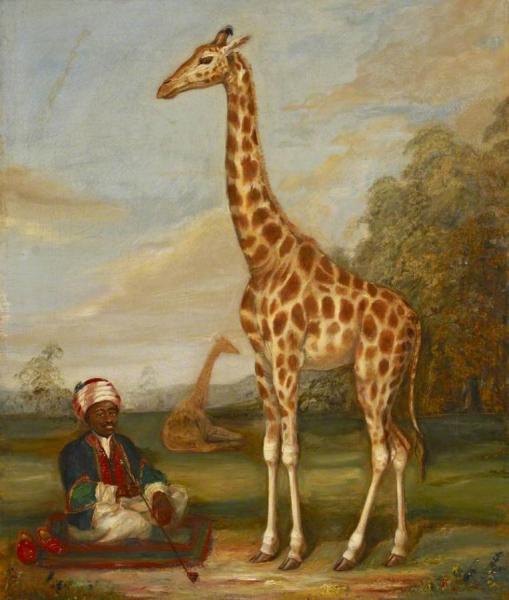 Two Giraffes With A Seated Indian Attendant In A Savannah Landscape by Jacques-laurent Agasse Oil Painting Reproductions