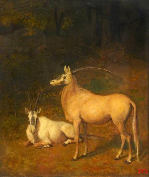 Two White Antelopes by Jacques-laurent Agasse