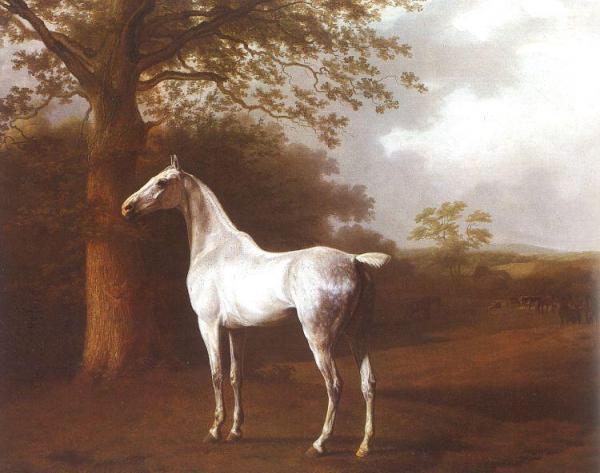 White Horse In Pasture by Jacques-laurent Agasse