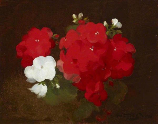 Geraniums by James Stuart Park