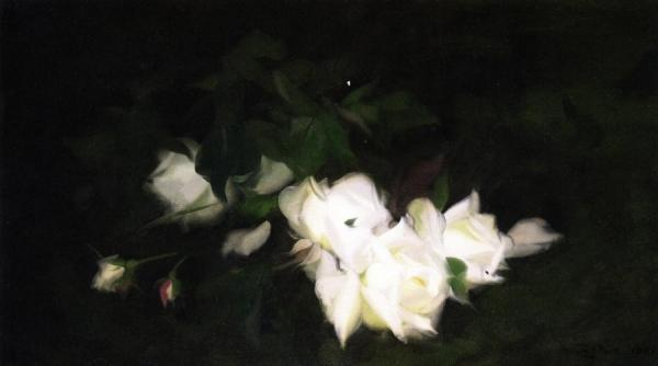 White Roses by James Stuart Park Oil Painting Reproductions