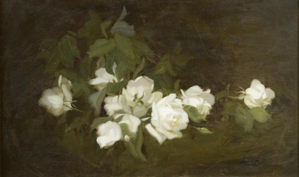 James Stuart Park White Roses