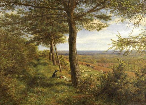 James Thomas Linnell Firs And Furze