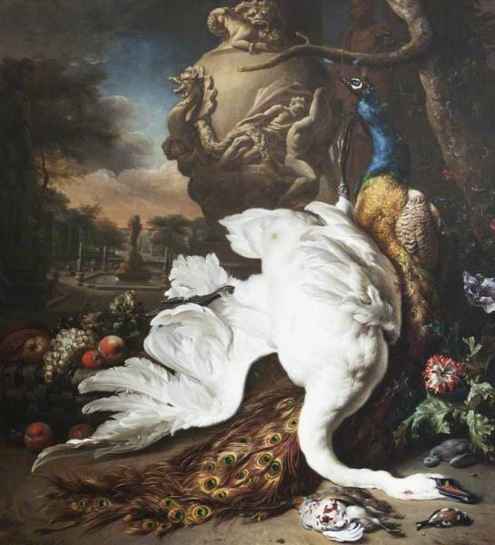 A Dead Swan And Peacock by Jan Baptist Weenix Oil Painting Reproductions