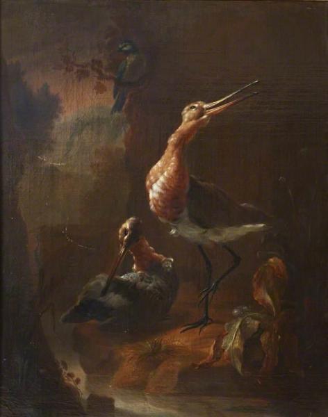 Two Godwits By A Stream With A Blue Tit On A Branch Above by Jan Baptist Weenix