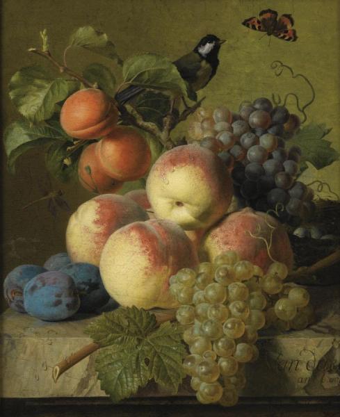 Stll Life Of Peaches, Grapes And Plums On A Stone Ledge With A Bird And Butterfly by Jan Frans Van Dael