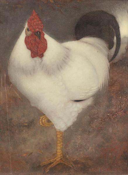 Witte Haan by Jan Mankes