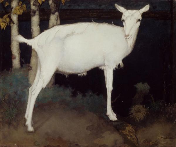 Young White Goat by Jan Mankes