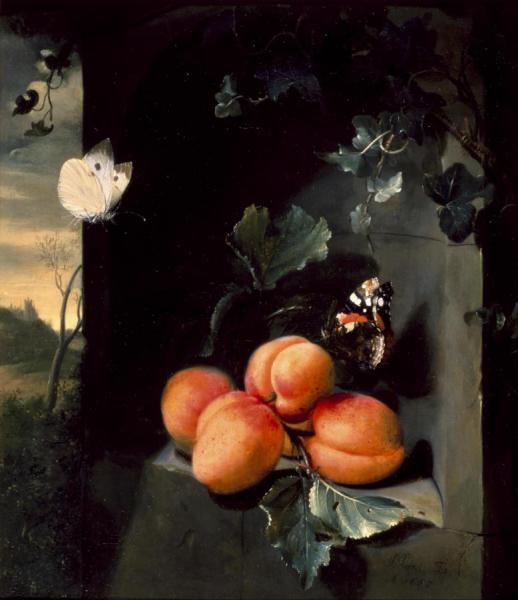 Still Life With Apricotes And Butterflies by Jan Mortel