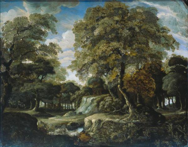 View In The Woods by Jan Van Der Heyden