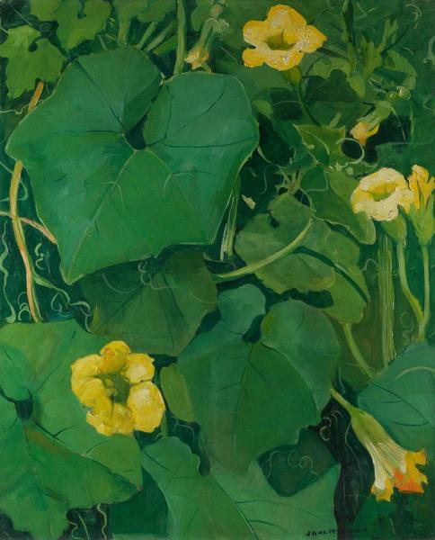 Six Squash Flowers by Jane Peterson Oil Painting Reproductions