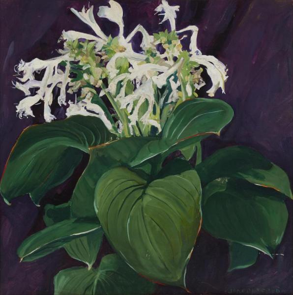White Hosta by Jane Peterson Oil Painting Reproductions