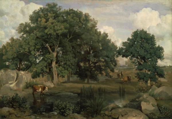 Forest Of Fontainebleau by Jean-baptiste-camille Corot