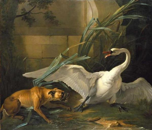 Swan Attacked By A Dog by Jean-baptiste Oudry
