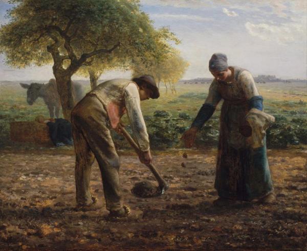 Jean Francois Millet Potato Planters
