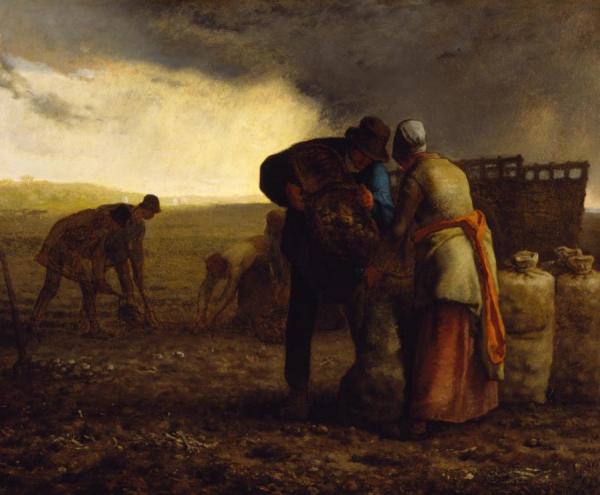 The Potato Harvest by Jean Francois Millet Oil Painting Reproductions