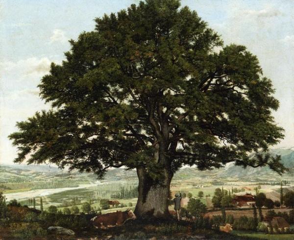 La Plaine Dannecyu-chene Le Vaterant Des Alpes by Jean-jacques Rousseau Oil Painting Reproductions
