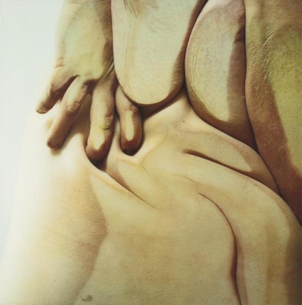 Jenny Saville Closed Contact #1