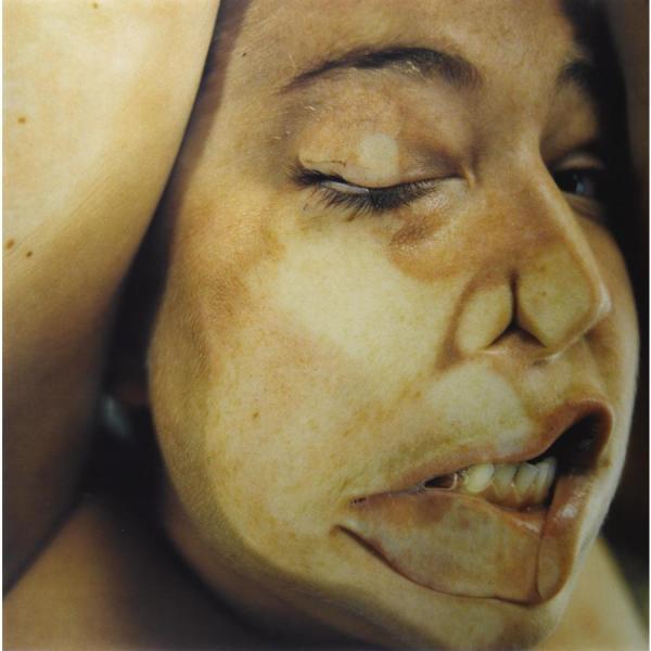 Jenny Saville Closed Contact #15