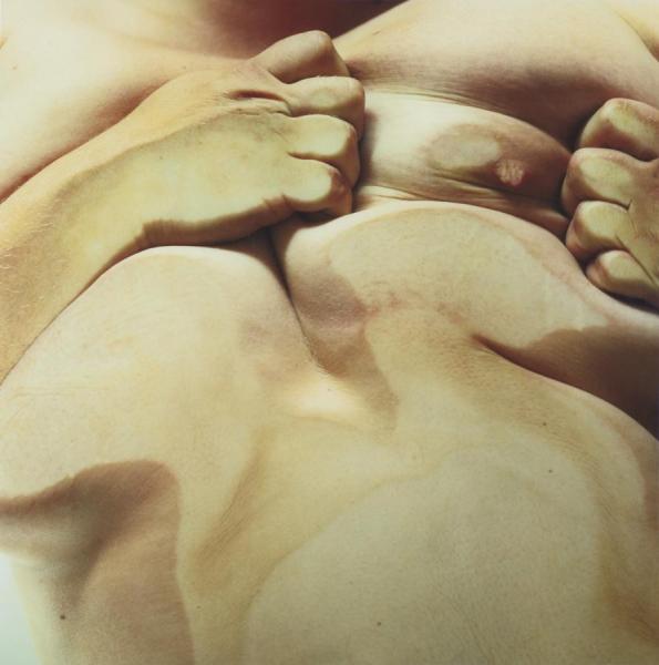 Jenny Saville Closed Contact #2