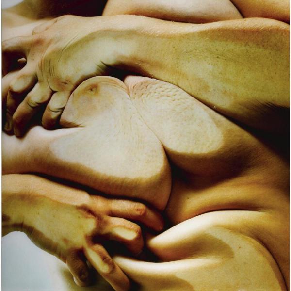 Jenny Saville Closed Contact #4