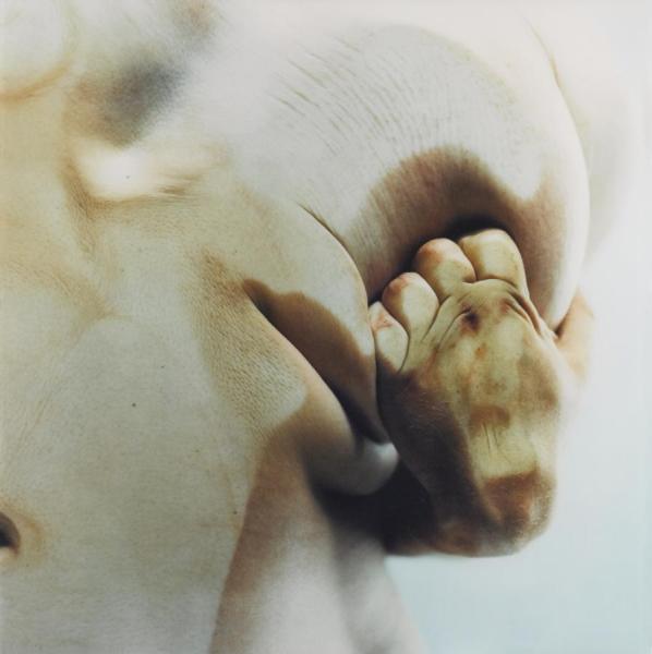 Closed Contact #5 by Jenny Saville Oil Painting Reproductions