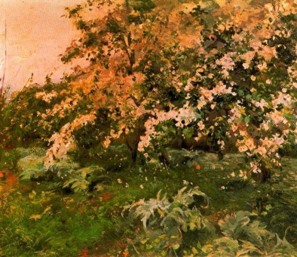 Almendros De Montaña by Joaquin Mir Trinxet