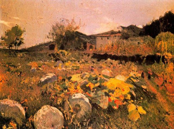 Campo De Calabazas by Joaquin Mir Trinxet