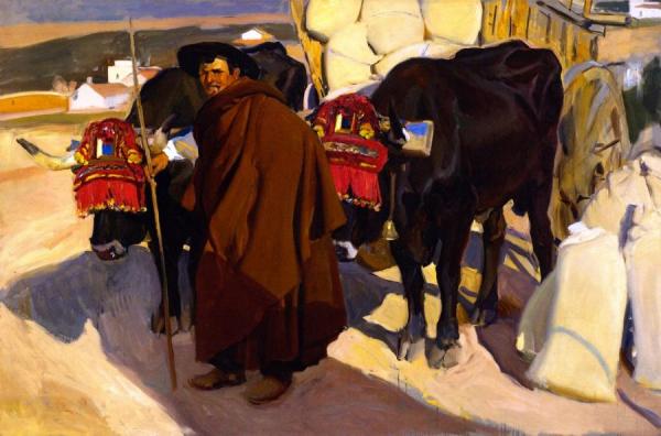 A Castilian Oxman by Joaquín Sorolla