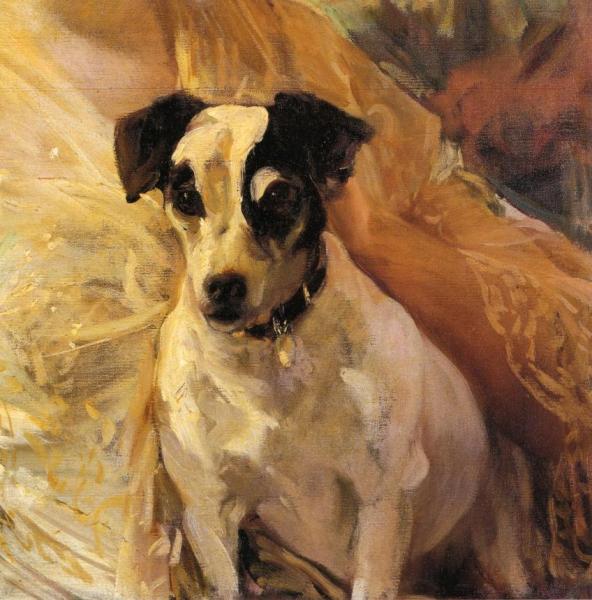Portrait Of A Jack Russell by Joaquín Sorolla